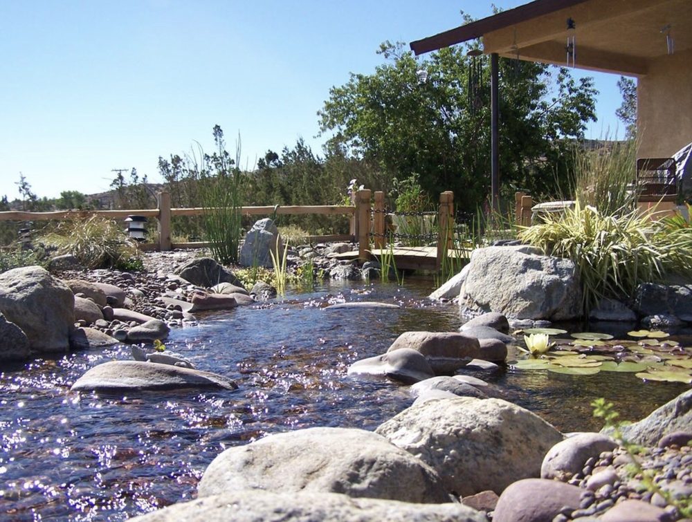 Vivid Water Gardens & Koi