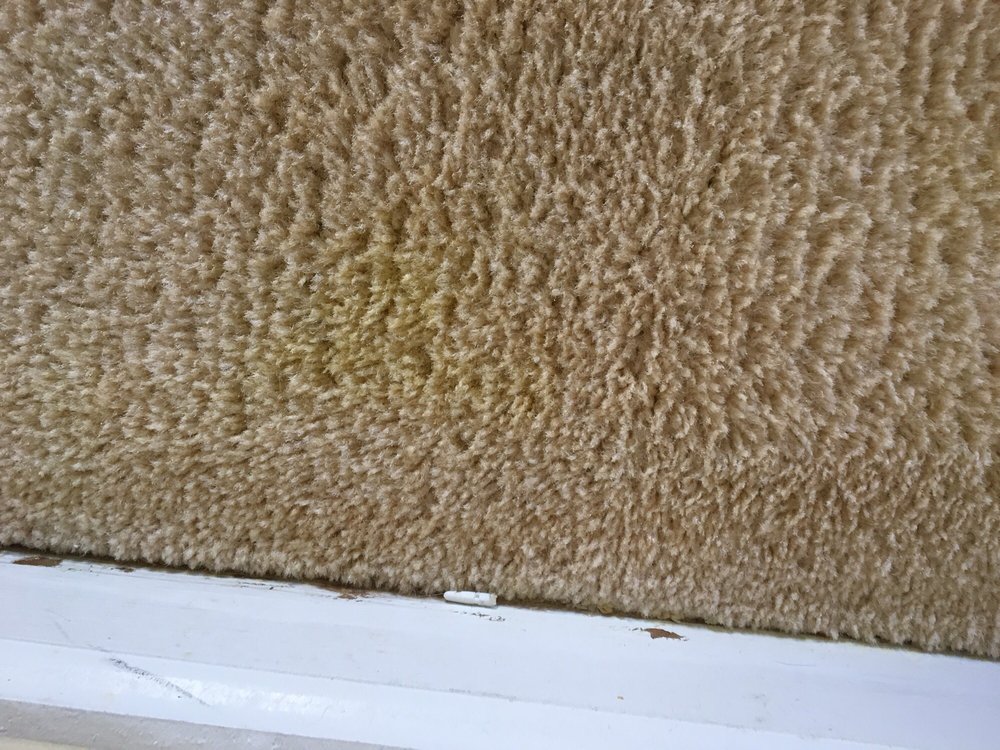 Zerorez Carpet and Air Duct Cleaning