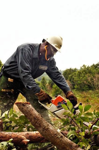 The Davey Tree Expert Company