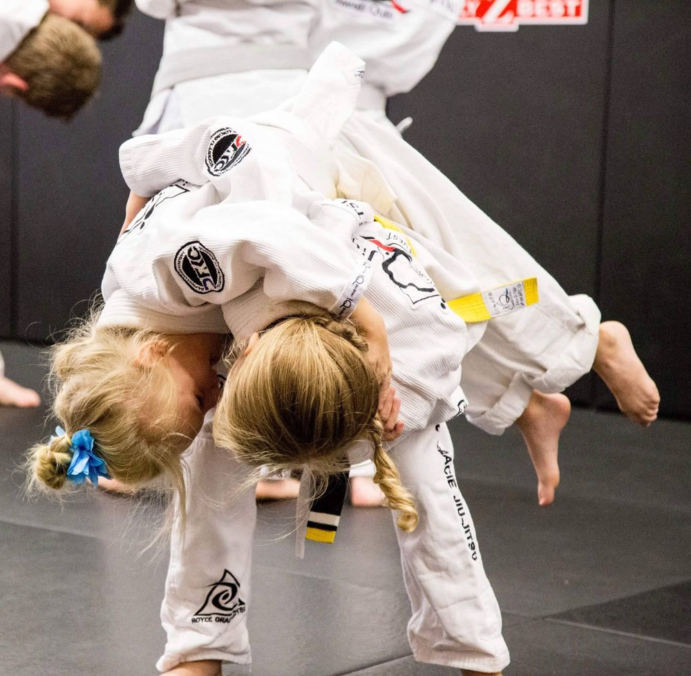 IQ Jiu Jitsu Hillsborough