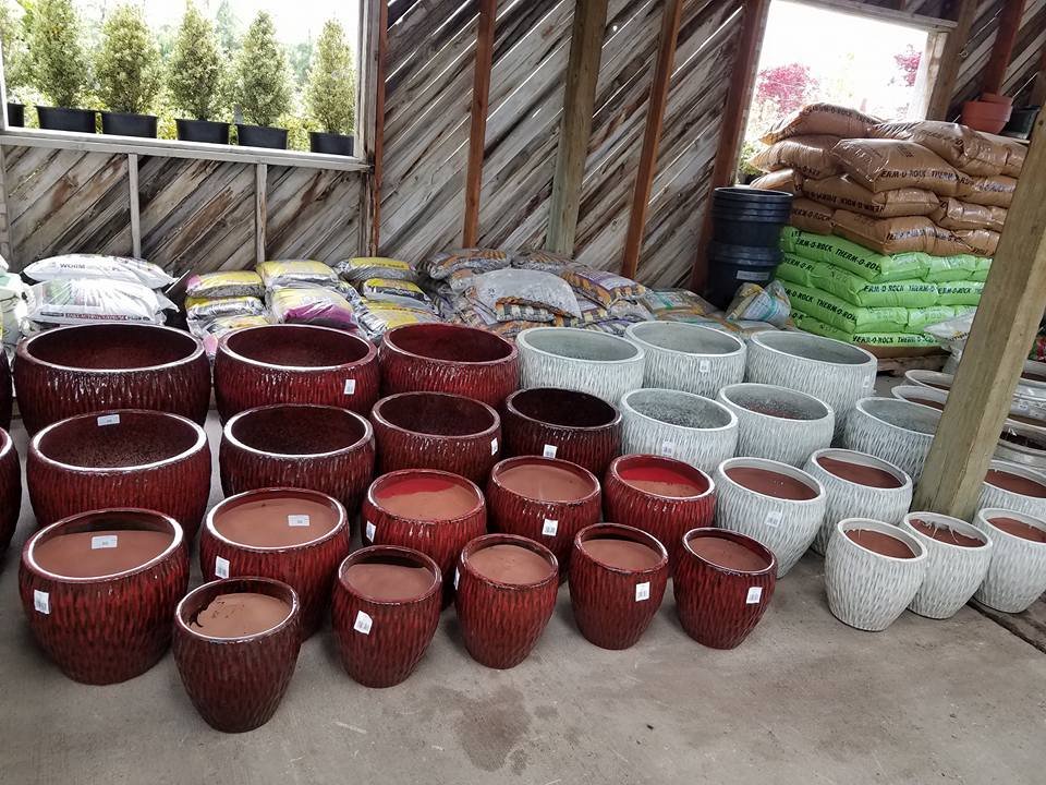 Roots Nursery & Landscape 17 Photos Nurseries & Gardening 6710