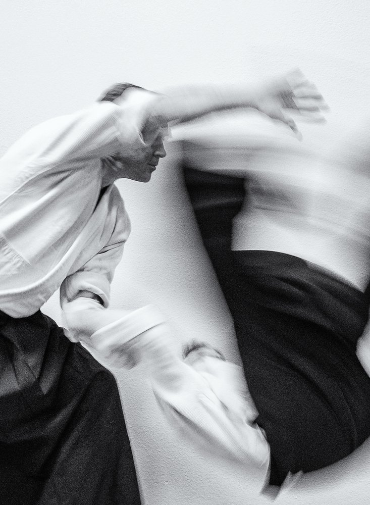 Aikido Shizenkai