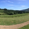 Shafer Vineyard Cellars winery