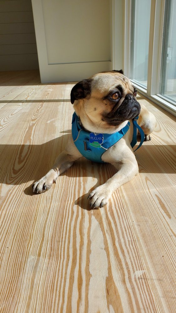 image of business Baxter Floors