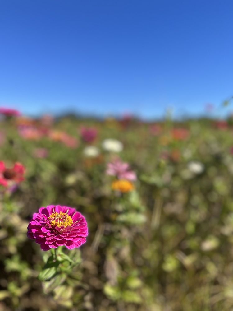 Sweet Seasons Family Farm