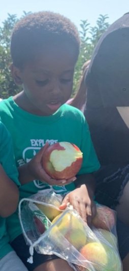 Dixon Academy At Northeast