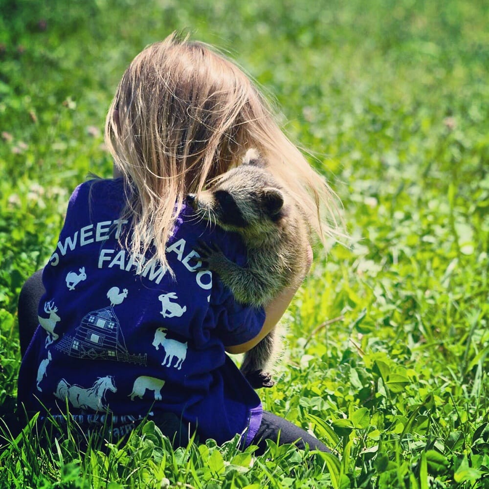 Sweet Meadow Farm 11 Photos & 31 Reviews Pet Stores 111 Coolidge