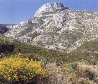 The spirit of hills...