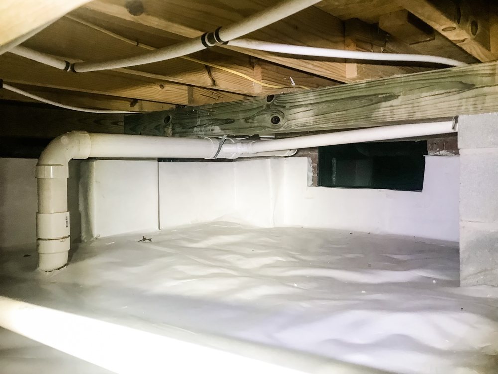 Back Bay Pest & Mosquito