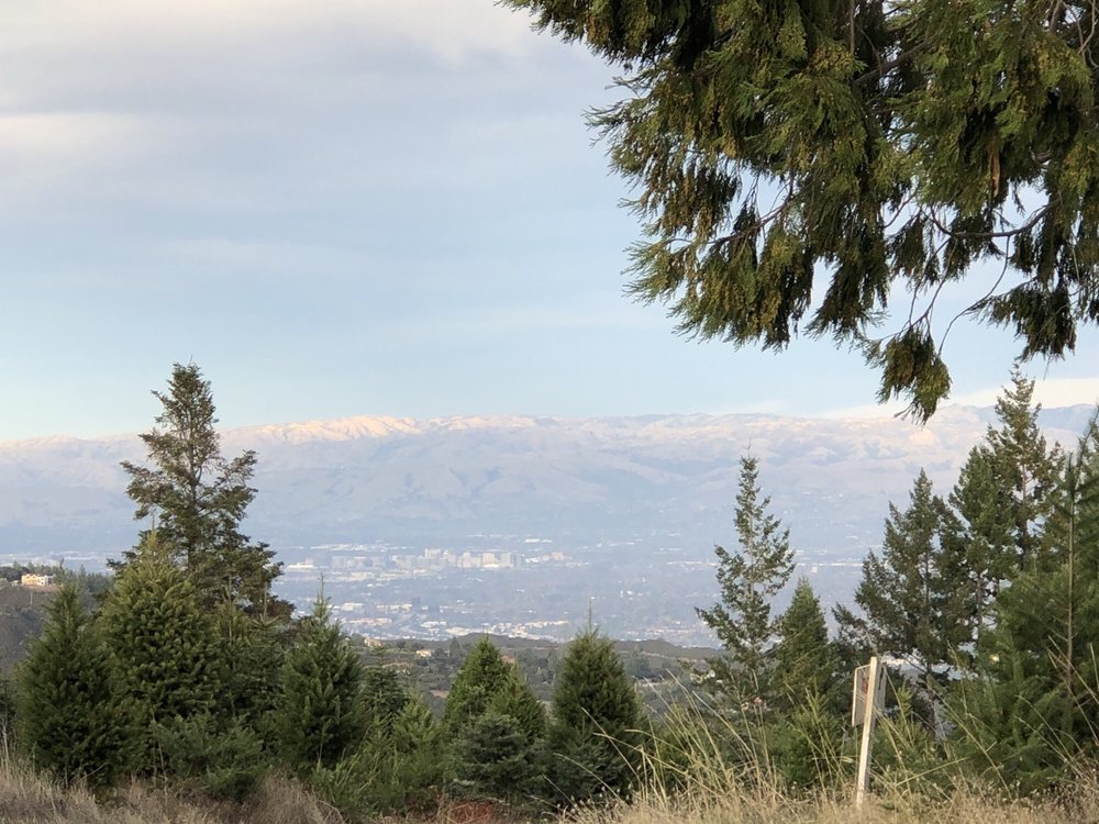 Four Winds Ranch 17 Photos & 51 Reviews Nurseries & Gardening