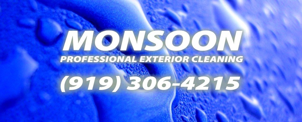 Monsoon Professional Exterior Cleaning