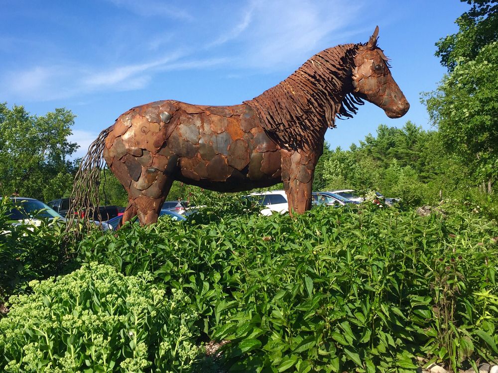 Edgewood Orchard Galleries 30 Photos Art Galleries 4140 Peninsula