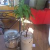 Butler & Booth Café
