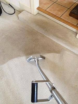 Nemo's Cleaning Services