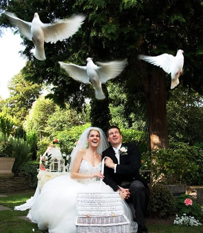 A White Dove Release Is Beautiful Photo Opportunity At Wedding Photo Of Doves Love New Brighton Pa United States A White