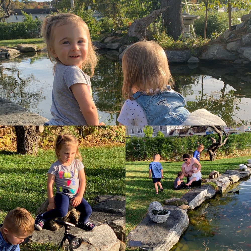 Goldfish Swim School - Norwalk