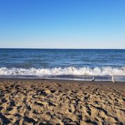 Simmons Island Beach 27 Photos Beaches 5001 Dr Photo Of Simmons Island Beach Kenosha Wi United States