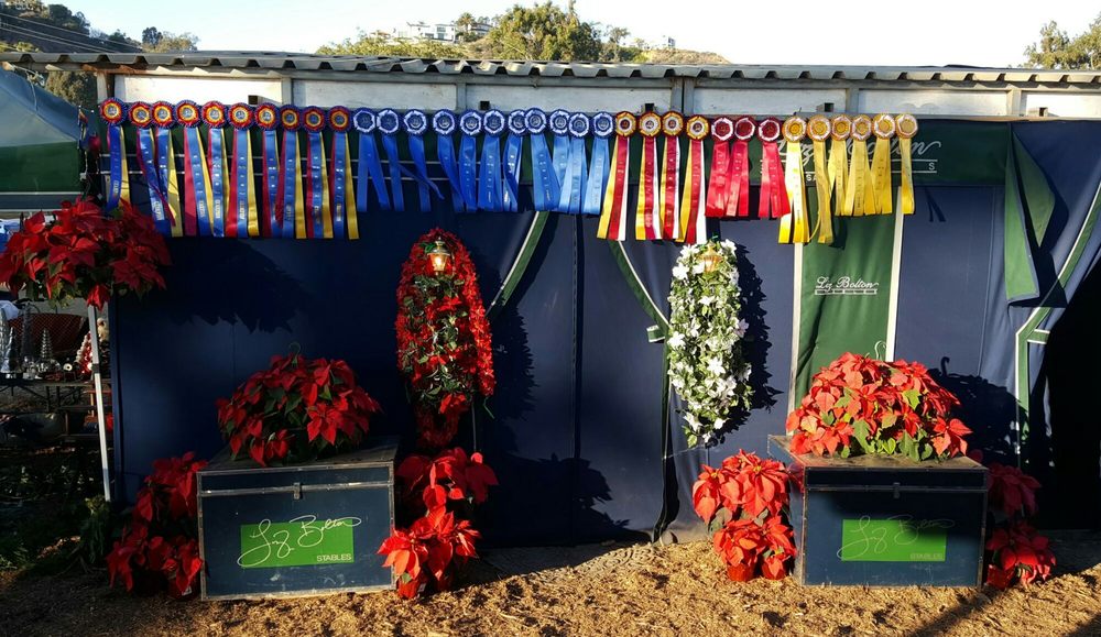Liz Bolton Stables Horseback Riding 3390 Bridle Creek Ln, San