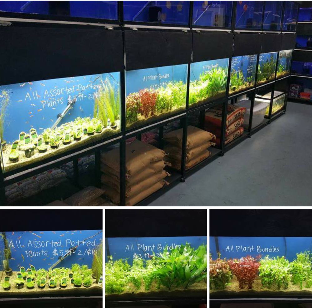 plants...plants....and more plants - Yelp