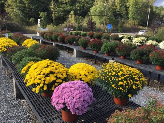 Kent Countryside Nursery 61 Ludington Ct Carmel Ny Nurseries Mapquest