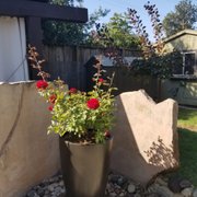 West Turf 13 Photos Landscaping 1612 Claus Rd Modesto Ca Photo Of West Turf Modesto Ca United States