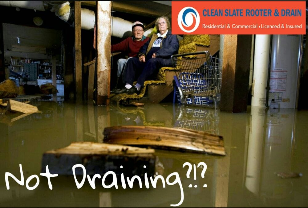 Clean Slate Rooter and Drain