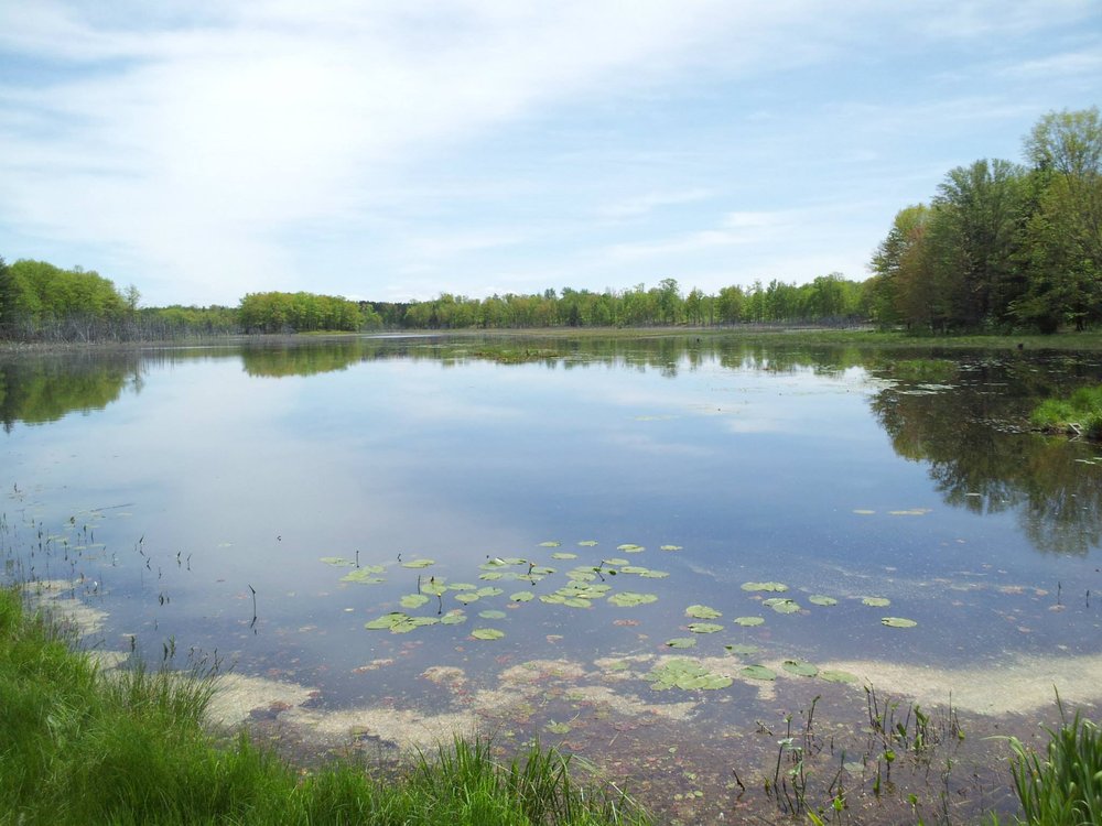 Lake of the Pines 7257 Ashard Rd, Lake, MI Phone Number Yelp