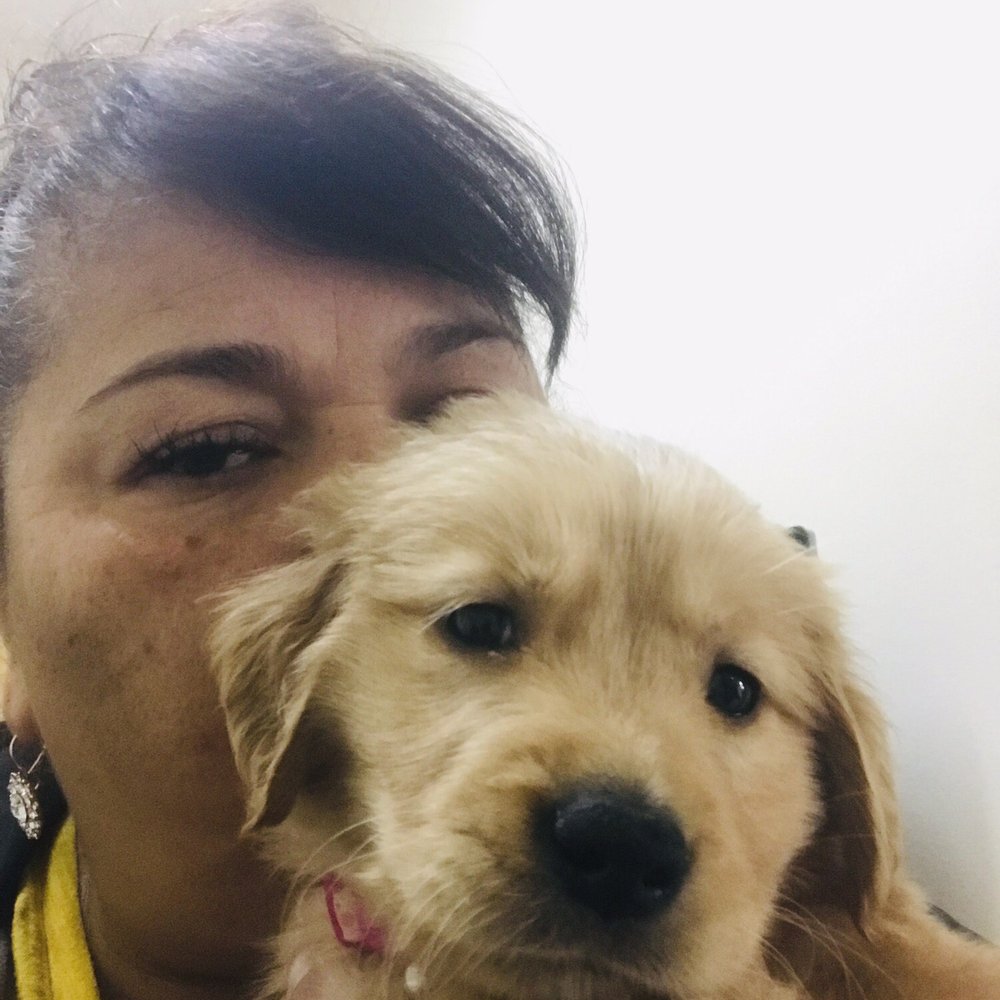 Park Community Animal Hospital 113 Photos & 188 Reviews