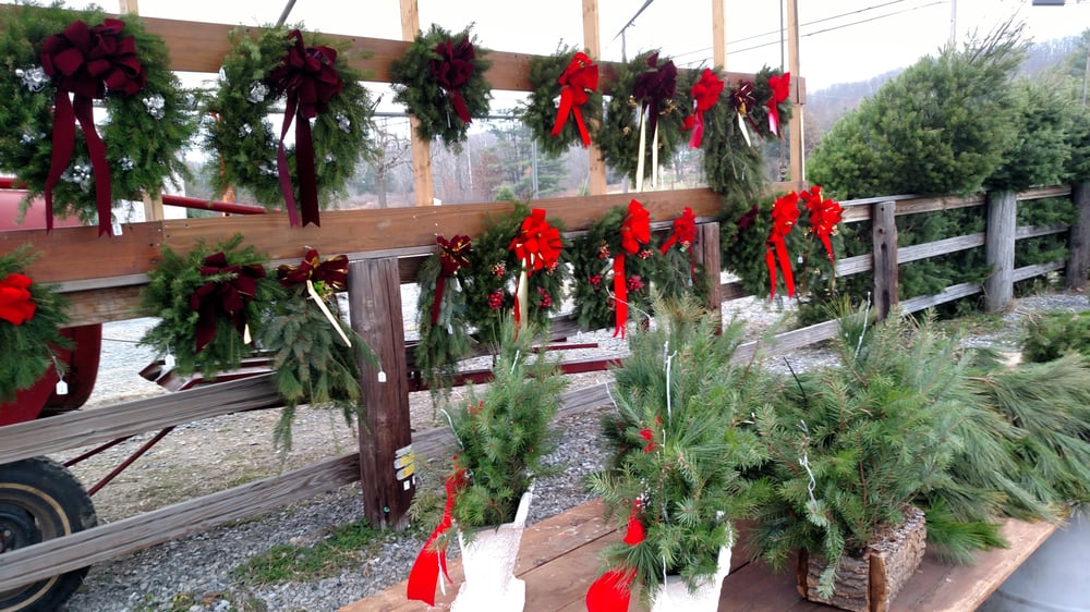 Fidler’s Tree Farm Christmas Trees 1263 Long Run Rd, Schuylkill
