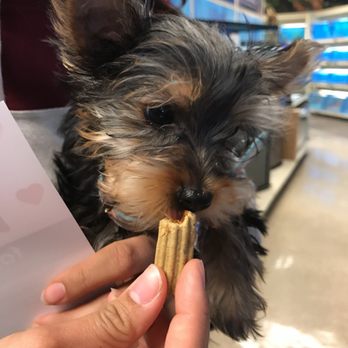 phone number for petsmart