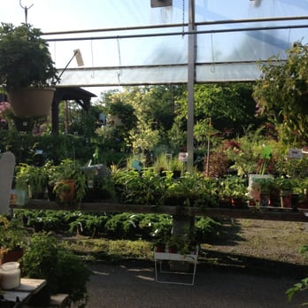 Trail Gardens Florist & Greenh - 154 Gordon Nagle Trl, Pottsville, PA