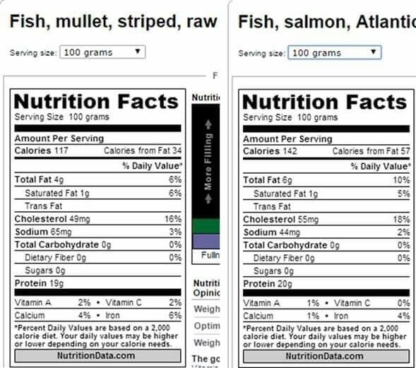 Mullet Fish Nutrition Facts Blog Dandk