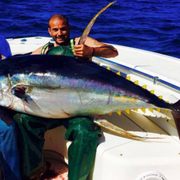 Safari Blue Charters - 21 Photos - Boat Charters - 237 Sports Marina Rd