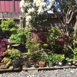 Foothill Nursery 20 Photos 24 Reviews Nurseries Gardening Photo Of Foothill Nursery Sylmar Ca United States