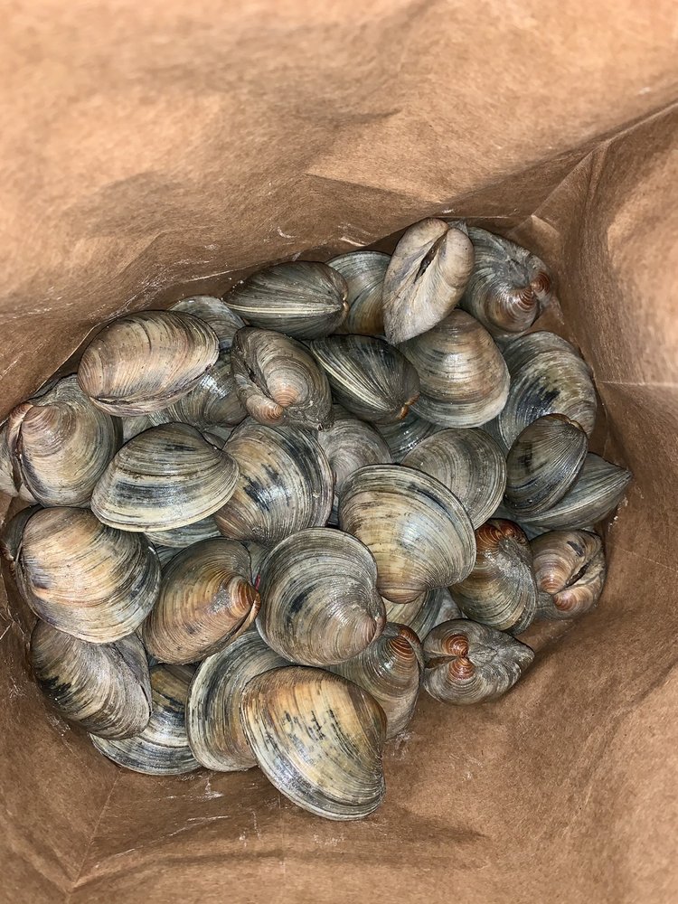 Hill's Quality Seafood