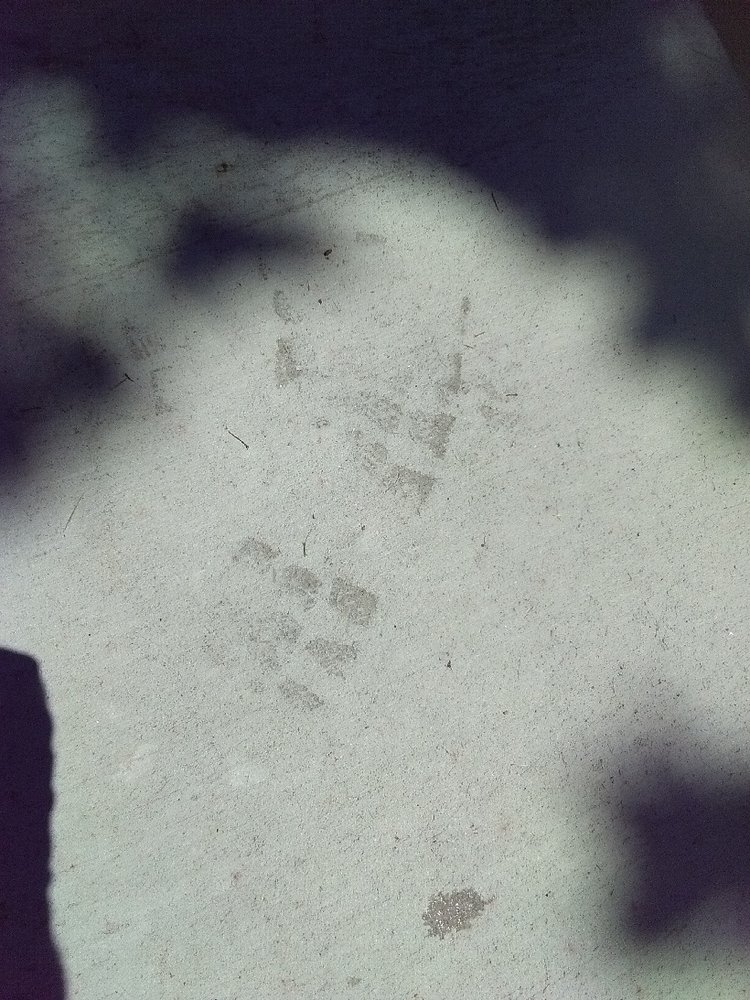 image of business Hernandez Concrete Services