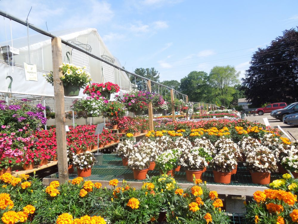 Flower Power Farm 51 Photos & 12 Reviews Nurseries & Gardening