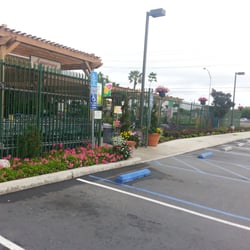 Armstrong Garden Centers 18 Photos 37 Reviews Nurseries Photo Of Armstrong Garden Centers Costa Mesa Ca United States Empty On