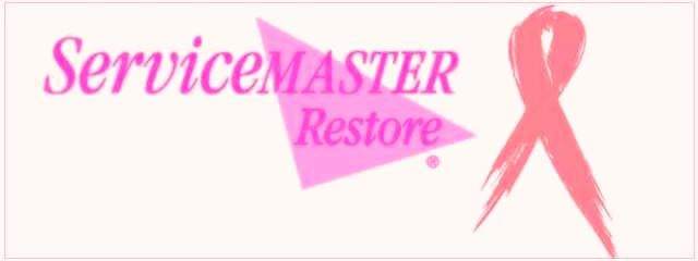 ServiceMaster of Hendersonville