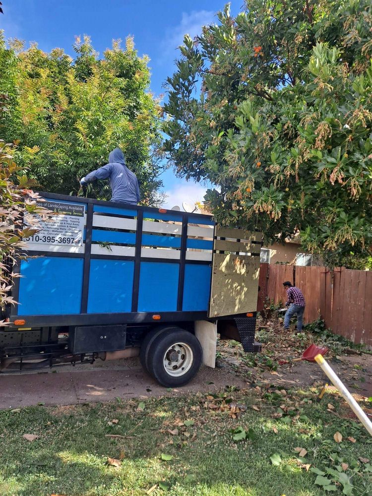 Juan Landscaping & Gardening Service