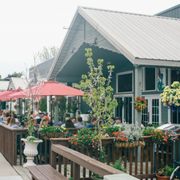 can yorkies eat shrimp the mermaid bar grill 87 photos 131 reviews seafood 340 water st saugatuck can yorkies eat shrimp the mermaid bar grill 87 photos 131 reviews seafood 340 water st saugatuck