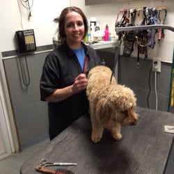 Midwest Dog Training North Sioux City Sd Midwest Dog Training North Sioux City Sd