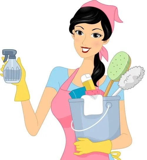 House Cleaning 101