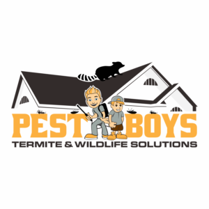 Pest Boys