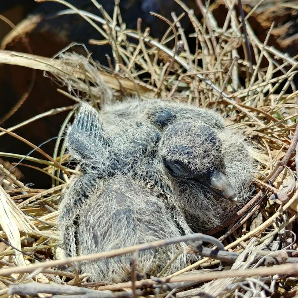 Silverbell Nursery 751 Photos & 13 Reviews Nurseries & Gardening