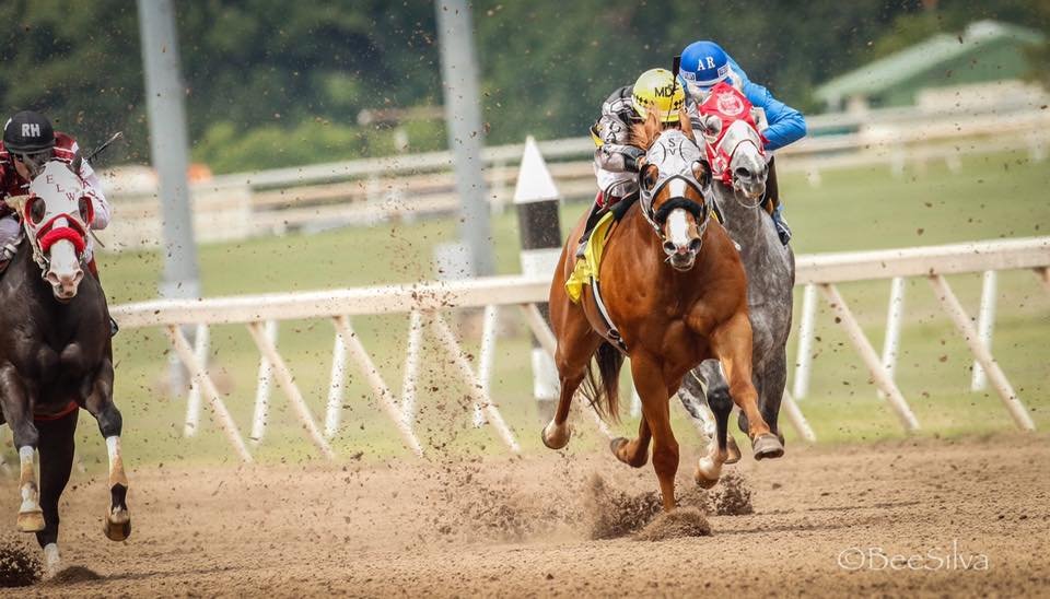 Remington Park Racetrack 109 Photos & 29 Reviews Horse Racing 1