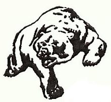 Big Bear Cleaning Concepts