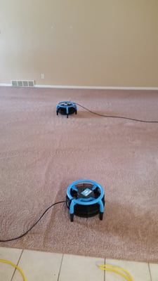 Blough S Carpet Cleaning 1865 M 139 Serving Berrien Allegan And Blough S Carpet Cleaning 1865 M 139 Serving Berrien Allegan And Van Buren Counties Benton Harbor Mi Rug Cleaners Mapquest