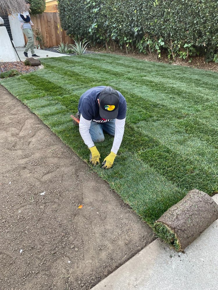 Raul Huerta Lanscaping