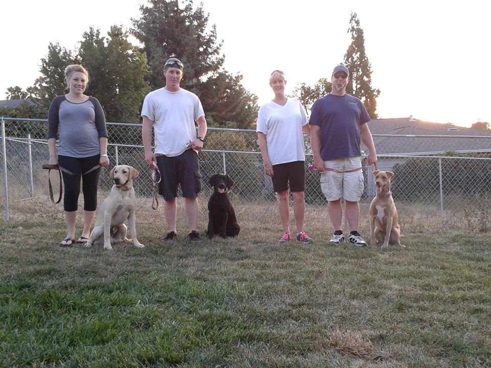 K9 Clan Dog Training 15 Photos Dog Walkers Vallejo, CA Phone
